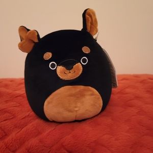 5" Mateo Squishmallow